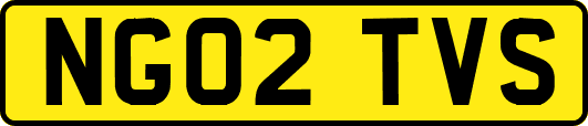 NG02TVS