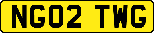 NG02TWG