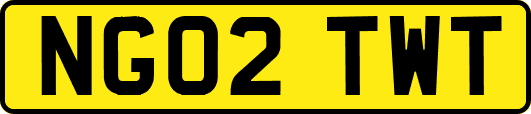 NG02TWT