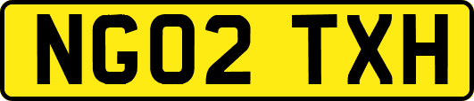 NG02TXH