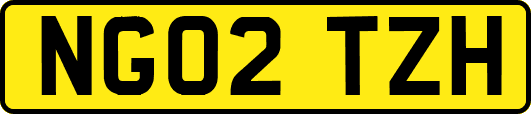 NG02TZH