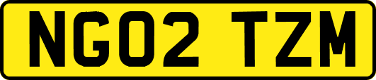 NG02TZM