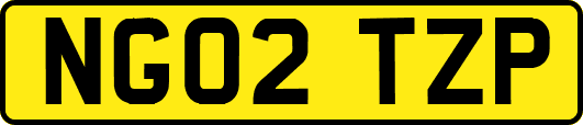 NG02TZP