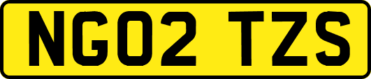 NG02TZS