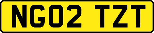 NG02TZT