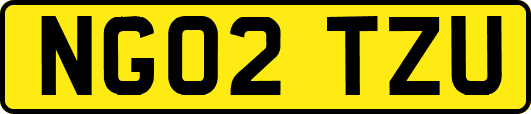NG02TZU