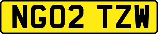 NG02TZW