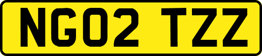 NG02TZZ