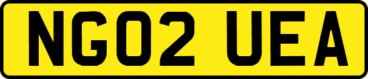 NG02UEA