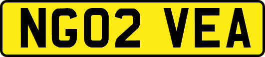 NG02VEA