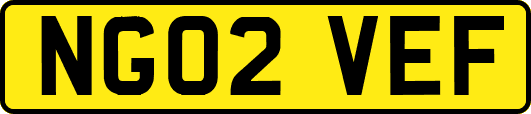 NG02VEF