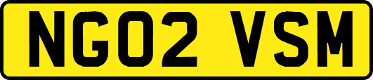NG02VSM