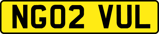 NG02VUL