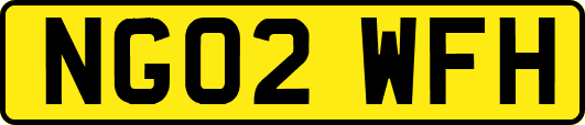 NG02WFH