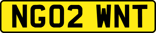 NG02WNT
