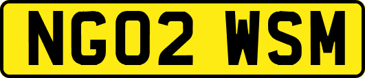 NG02WSM