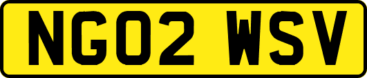 NG02WSV