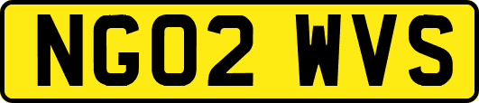 NG02WVS