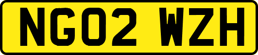 NG02WZH