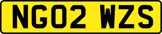 NG02WZS