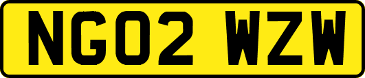 NG02WZW