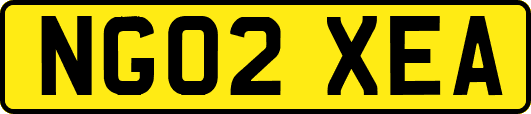 NG02XEA