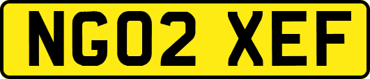 NG02XEF
