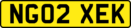 NG02XEK