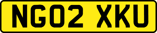 NG02XKU