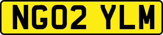 NG02YLM