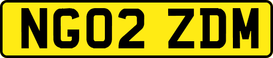 NG02ZDM