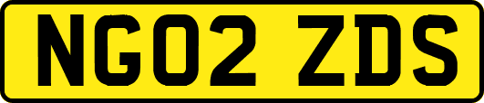 NG02ZDS