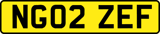 NG02ZEF