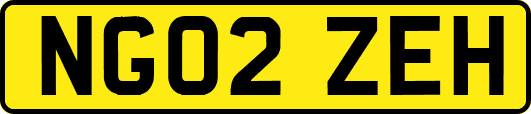 NG02ZEH