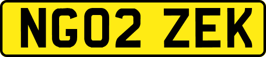 NG02ZEK