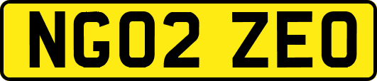 NG02ZEO
