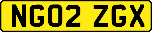 NG02ZGX