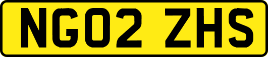 NG02ZHS