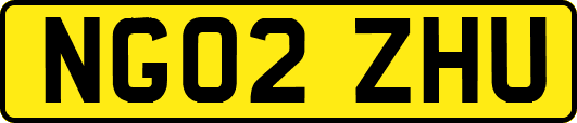 NG02ZHU