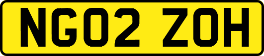 NG02ZOH