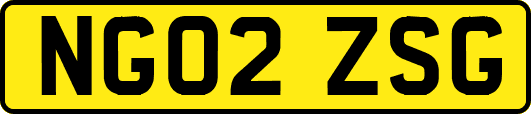 NG02ZSG