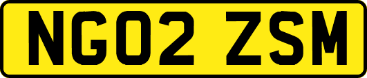 NG02ZSM