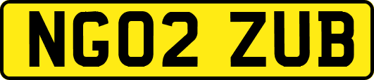 NG02ZUB
