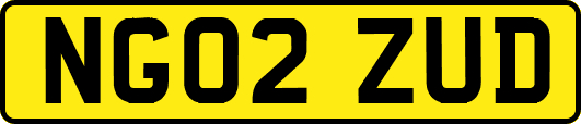 NG02ZUD