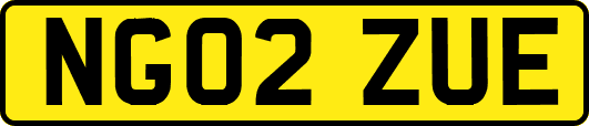 NG02ZUE