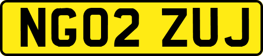 NG02ZUJ