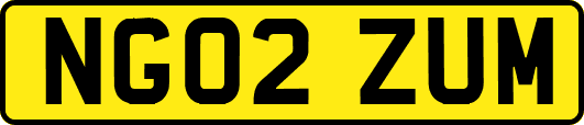 NG02ZUM
