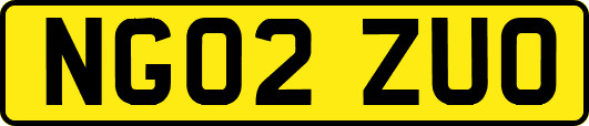 NG02ZUO