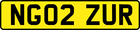 NG02ZUR
