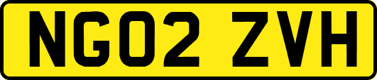 NG02ZVH